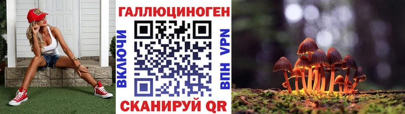 купить наркотик  Долинск  Галлюциногенные грибы GOLDEN TEACHER 