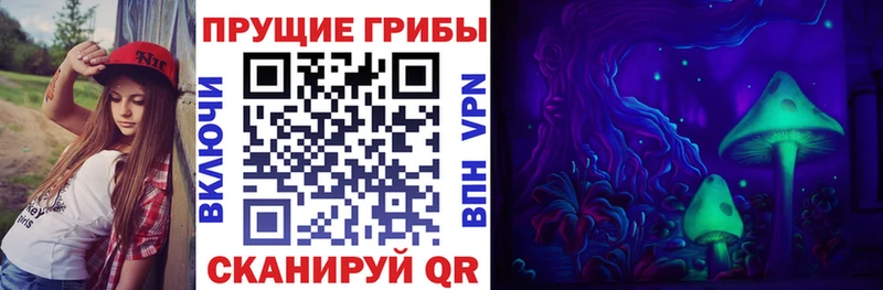 Псилоцибиновые грибы прущие грибы Долинск